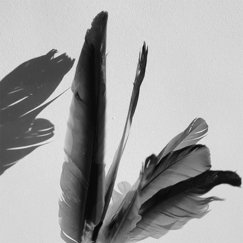 inspirer-NB-1