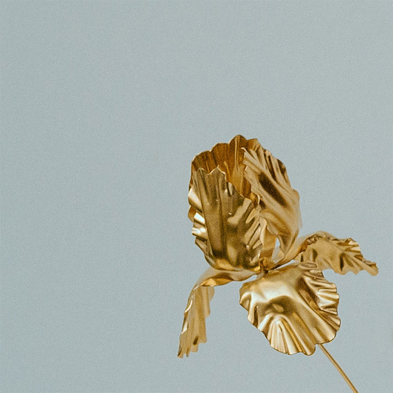 decoration-doree-les-aubepines-limoges