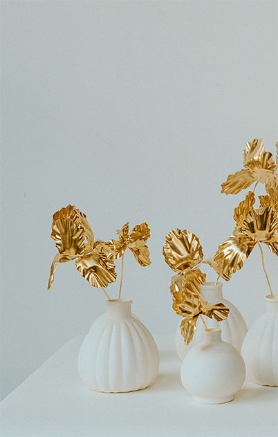 iris-les-aubepines-limoges