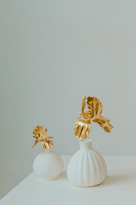 iris or les aubépines limoges