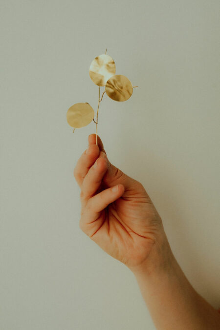 monnaie du pape dorée, sculpture végétale fabriquée à Limoges, créatrice Les Aubépines